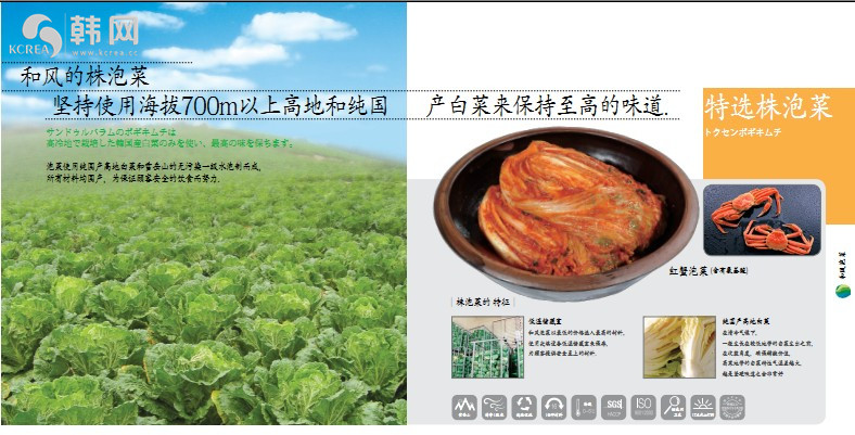 派彩_副本