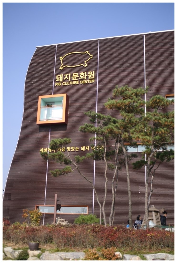 小猪文化园正面