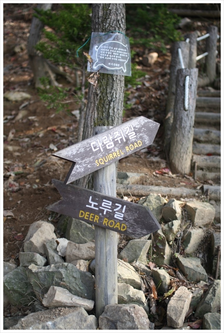 登山1