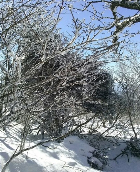 2015012411485457839_3_99_20150124120011