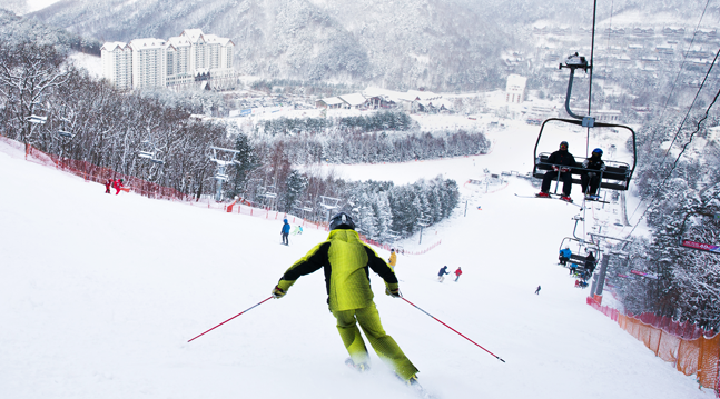 YongpyongSkidaytour