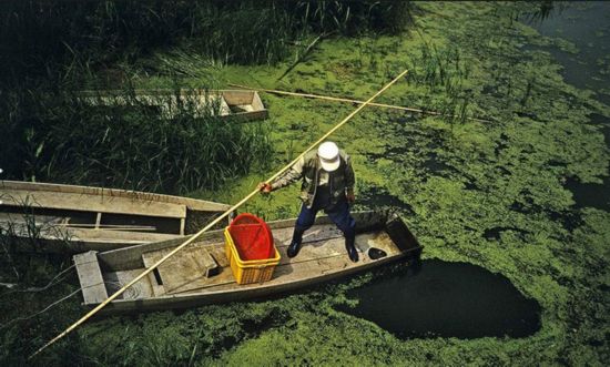 牛浦湿地(UpoWetlands)