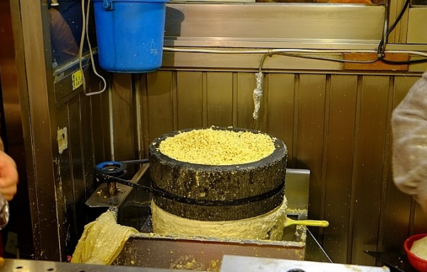 首尔自助游图片