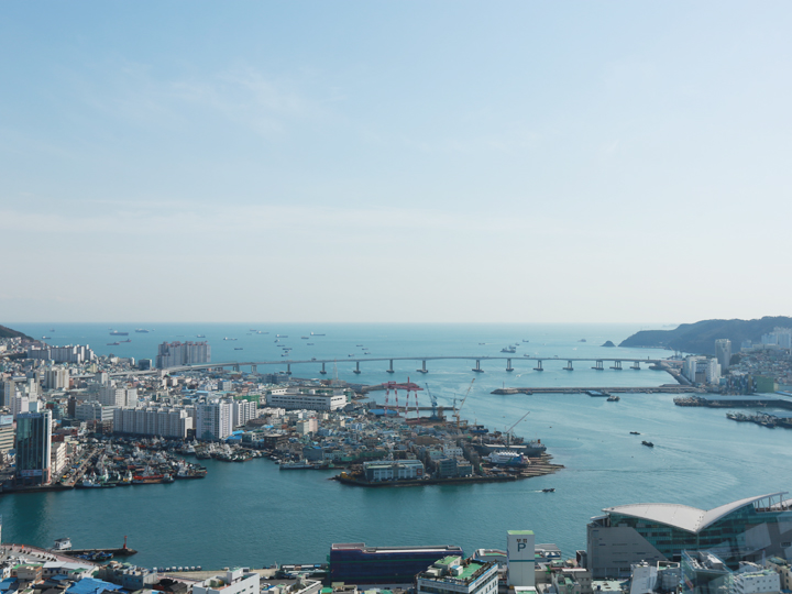 影岛大桥与札嘎其市场(右下角)