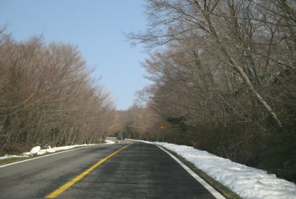 济州七大美景/七大美丽的道路/七大美丽的建筑/七大美食
