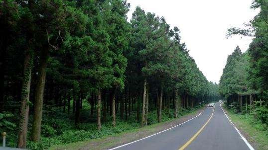 济州七大美景/七大美丽的道路/七大美丽的建筑/七大美食