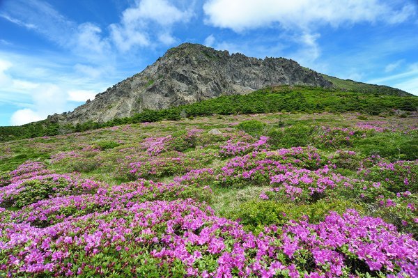 济州七大美景/七大美丽的道路/七大美丽的建筑/七大美食