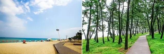640_wx_fmt=jpeg&wxfrom=5&wx_lazy=1 - 副本 (2)