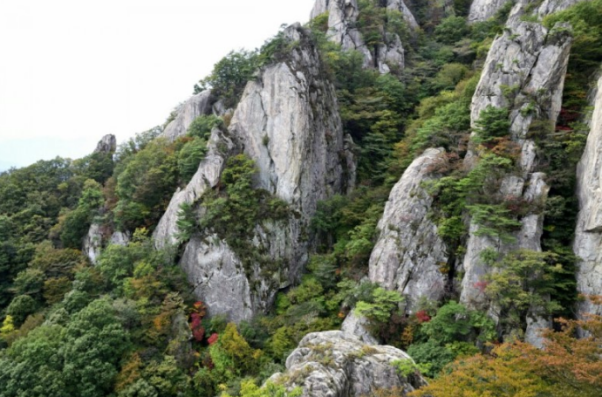 大芚山道立公园