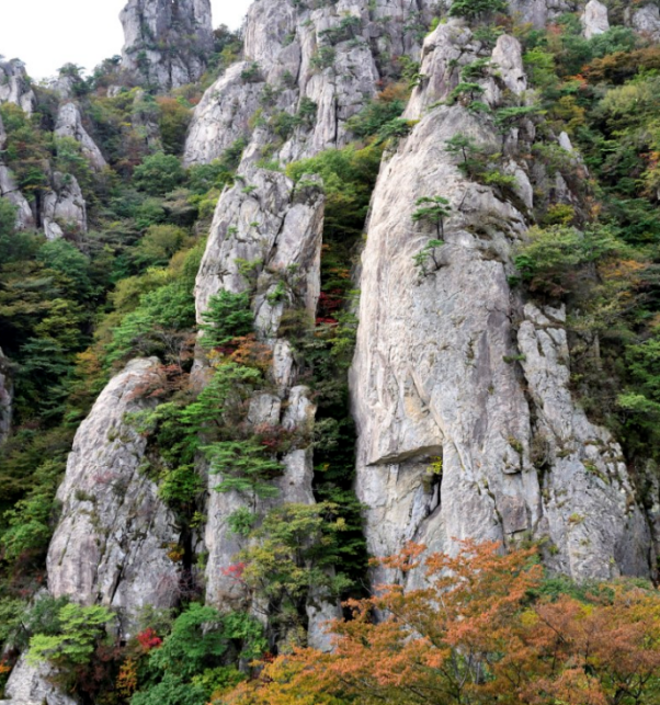 大芚山道立公园