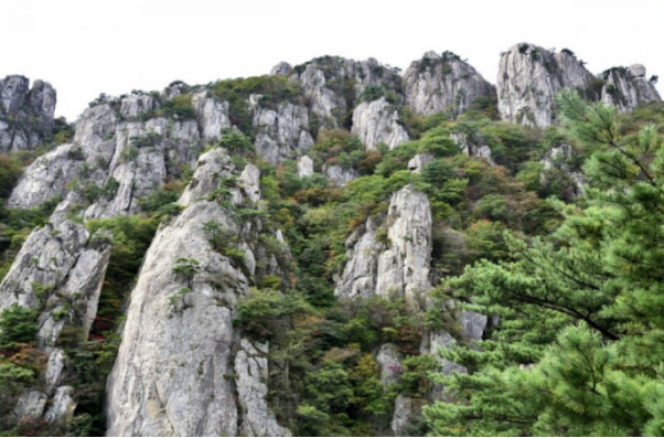 大芚山道立公园