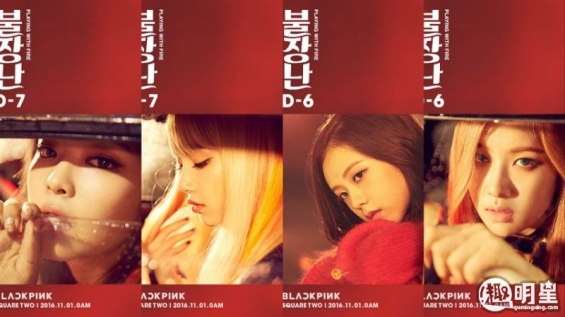 BLACKPINK将携第二张数位单曲专辑 证实出演《一周偶像》