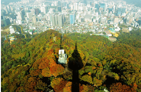 首尔南山公园的秋天