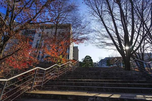 梨花女子大学