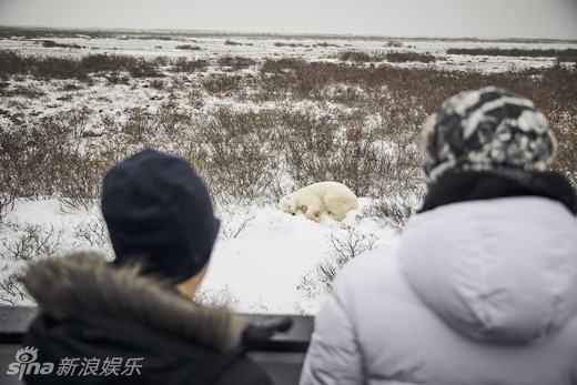 《无限挑战》朴明秀郑俊河探访北极熊萌萌的现场照