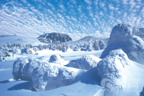 冬季到济州汉拿山感受美好的白雪世界