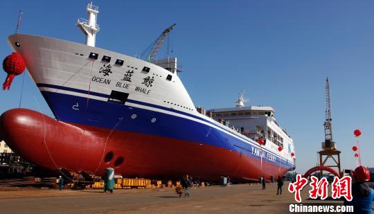 中韩航线客箱船“海蓝鲸”号下水