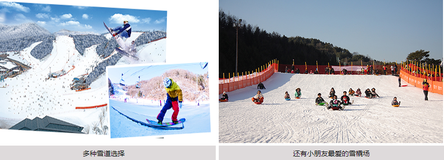 冬季韩游江原道 体验滑雪的乐趣