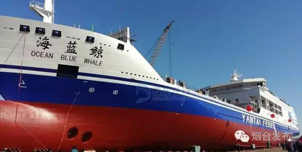 中韩航线客箱船海蓝鲸下水 明年5月上线运营