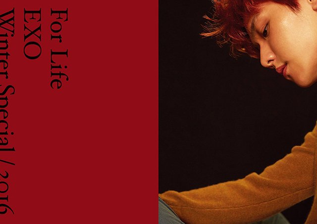 EXO冬季特别专辑《For Life》团体成员个人写真照