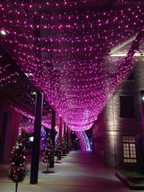 崔赢,一个有着英雄主义情怀和梦想的创业者