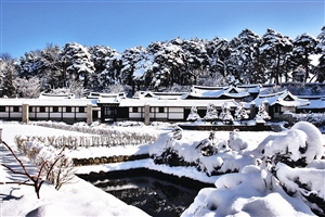 韩国冰雪之约