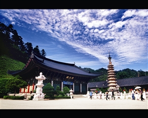 韩国冰雪之约
