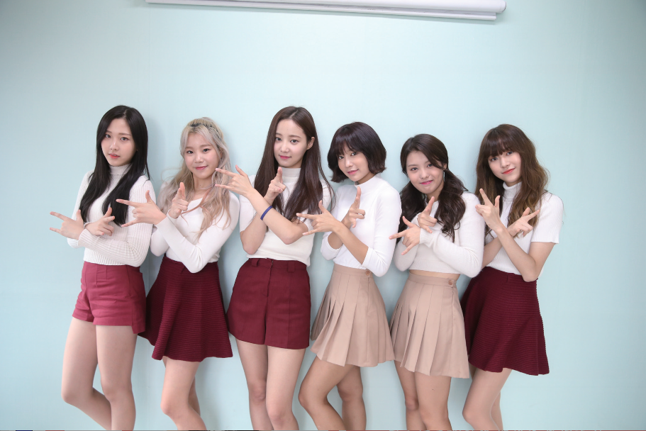 Welcome to momoland