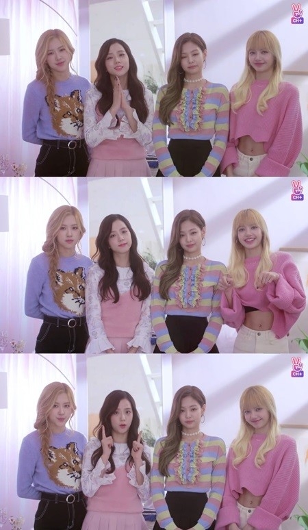 BLACKPINK开通V LIVE频道 现身与粉丝打招呼