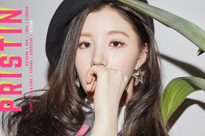 PRISTIN公开成员Ye Won、洁琼、Sung Yeon、施妍、Kyla的个人简介照