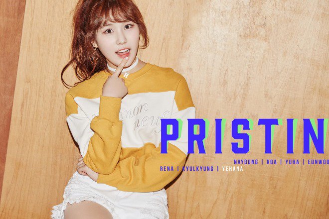 PRISTIN公开成员Ye Won、洁琼、Sung Yeon、施妍、Kyla的个人简介照