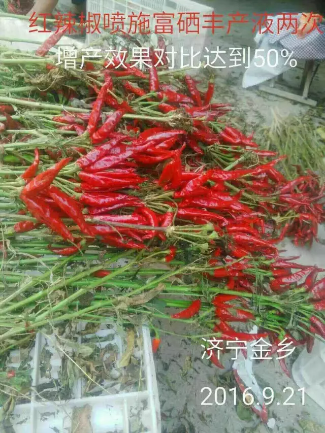 14LBKG$R~BT([%$KKL]C0P6