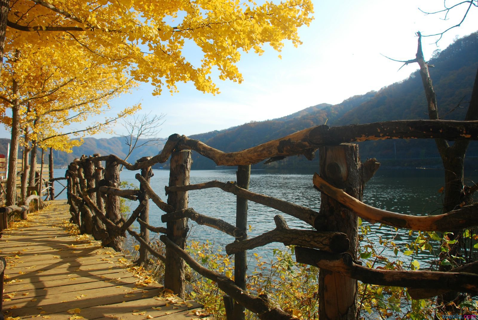 5月份哪里最适合旅游？5月份韩国最佳吃喝玩乐攻略