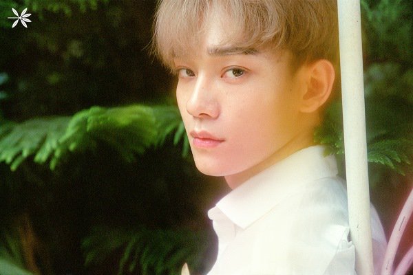 EXO最新专辑《THE WAR》公开成员CHEN(金钟大)的个人概念照及预告影片