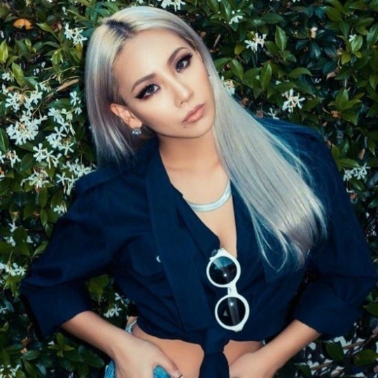 韩国歌手CL于28日通过个人SNS长文表达了2NE1解散后的心境