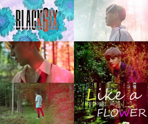 六人男团BLACK6IX全新作品《Like a Flower》预告公开