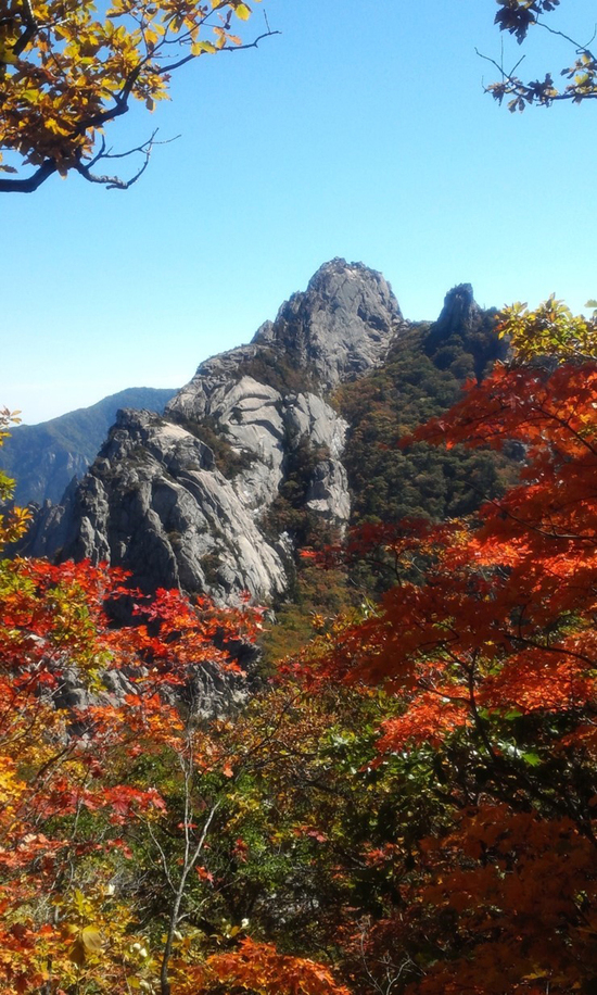 这里少有旅行团 却有韩国最美的秋天