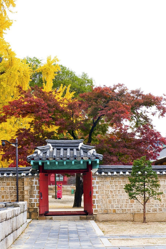 这里少有旅行团 却有韩国最美的秋天