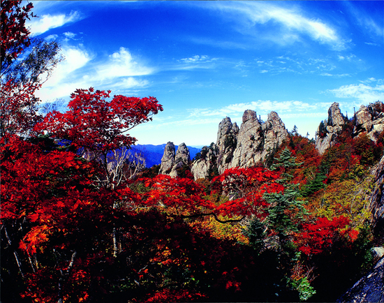 这里少有旅行团 却有韩国最美的秋天