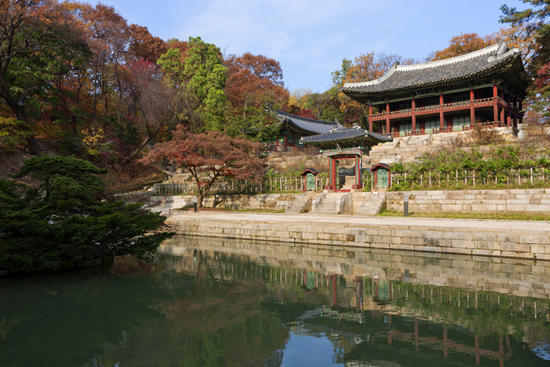 这里少有旅行团 却有韩国最美的秋天