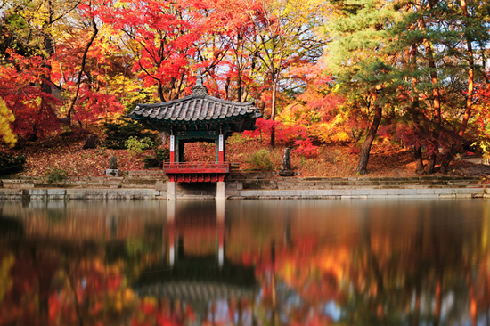 这里少有旅行团 却有韩国最美的秋天