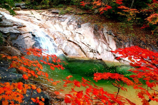 这里少有旅行团 却有韩国最美的秋天