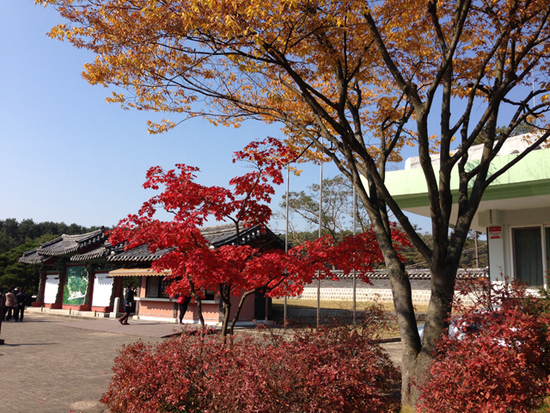 这里少有旅行团 却有韩国最美的秋天