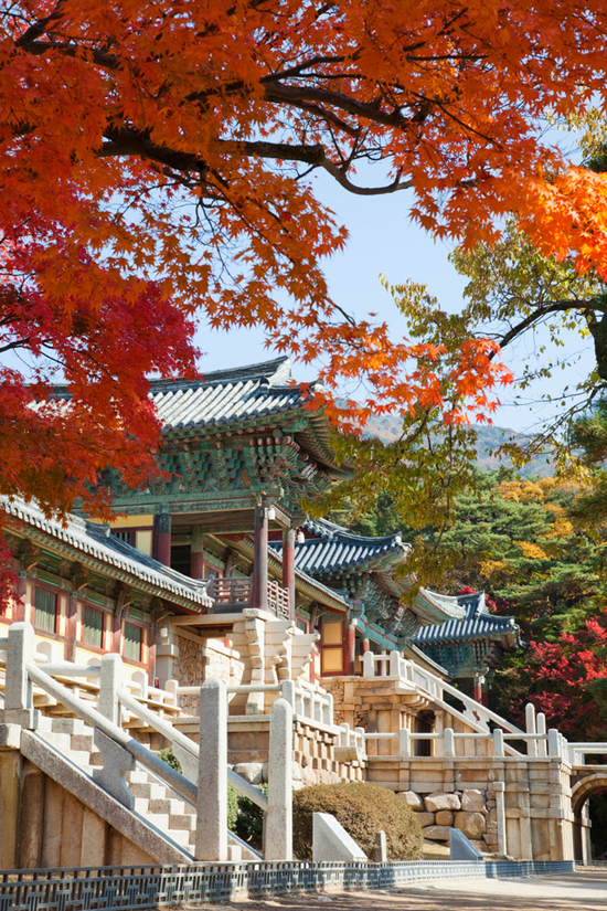 这里少有旅行团 却有韩国最美的秋天