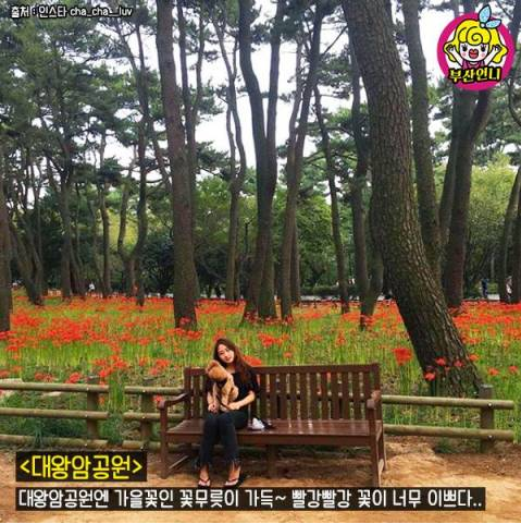 韩国旅游蔚山美丽景色游