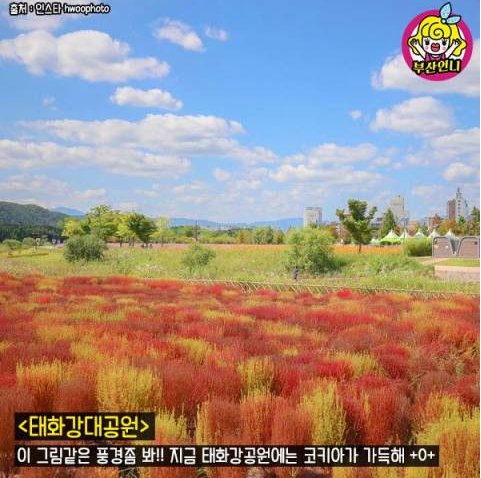 韩国旅游蔚山美丽景色游