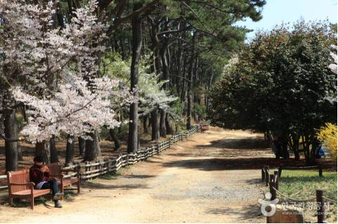 韩国旅游蔚山美丽景色游