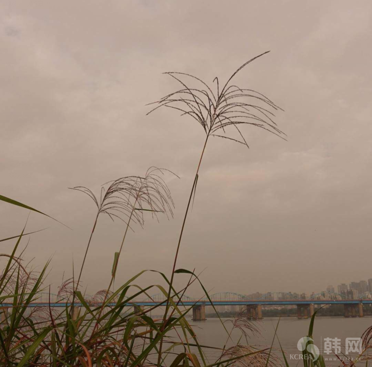 首尔汉江秋季郁郁黄昏之时图片欣赏