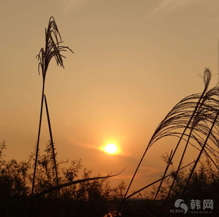首尔汉江秋季郁郁黄昏之时图片欣赏