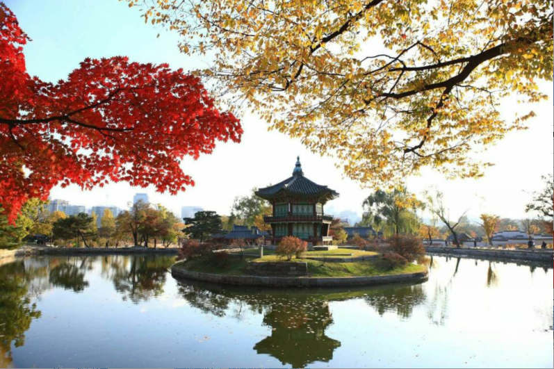 韩国秋季赏枫时间表
